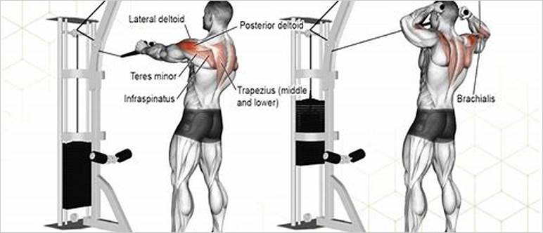 Cable exercises for back